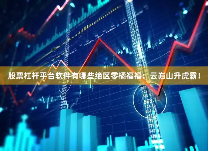 股票杠杆平台软件有哪些绝区零橘福福：云岿山升虎霸！