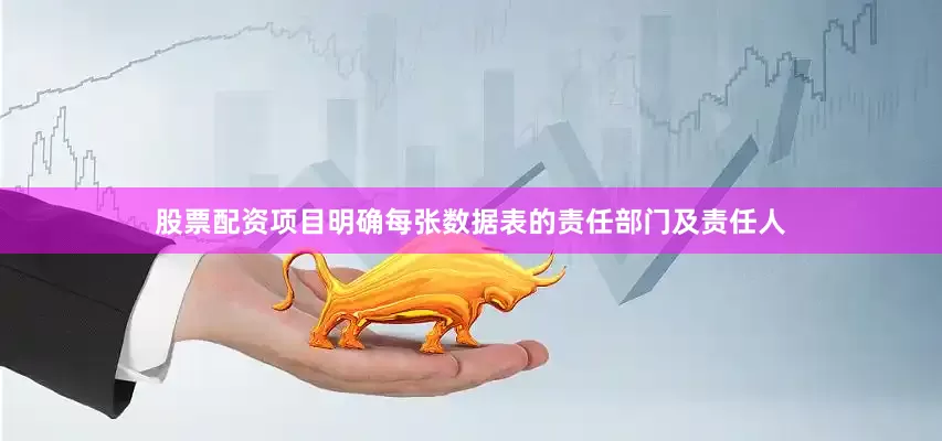 股票配资项目明确每张数据表的责任部门及责任人